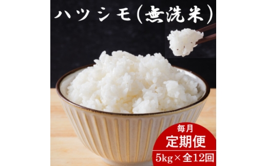 ＜毎月定期便＞岐阜県産ハツシモ(無洗米) 5kg全12回【4076380】