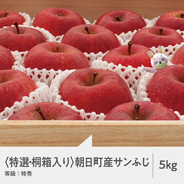 【ふるさと納税】りんご サンふじ 特選 桐箱入り 特秀 5kg 14～18玉 山形県 朝日町産 山形県産 特産 果物 贈答 お歳暮 フルーツ ふじ リンゴ 林檎 冬 送料無料