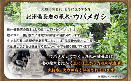 紀州備長炭 馬目荒 約5kg 　炭