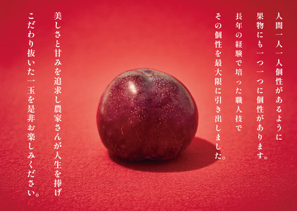 甲州市産 貴陽 約1kg（5～7個入）自然農法【2026年発送】（BNC）B15-492 すもも フルーツ