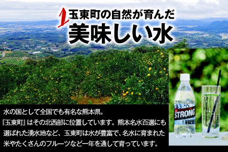 2か月定期便★強炭酸水2箱（計2回お届け 合計2ケース: 500ml×48本）強炭酸水《お申込み月の翌月から出荷開始》熊本県玉東町産の水を使用! クリアで爽快な喉越し！くまもと風土の強炭酸水★ストロン