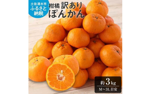 【令和９年1月下旬】【訳あり】ぽんかん３kg 谷川果樹園 デコポンの親  みかん 蜜柑 ミカン 不知火 しらぬい 柑橘 かんきつ ポンカン フルーツ オレンジ 果物 くだもの 果汁 甘い【R01603】