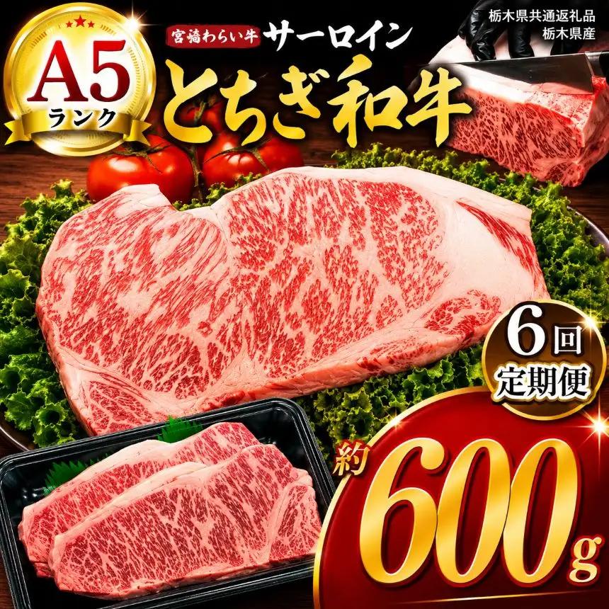 【定期6回】宮福笑牛（とちぎ和牛） A5 サーロインステーキ　約200g×3枚【栃木県共通返礼品】