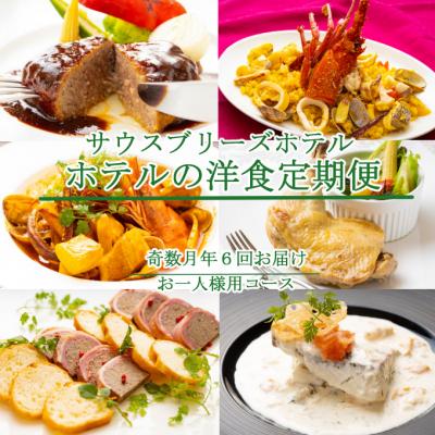 ふるさと納税 室戸市 【ホテルメイドの洋食惣菜】定期便!!奇数月年6回お届け【お一人様向け】