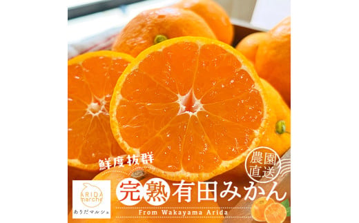 【12月発送】農園直送！完熟有田みかん 約1kg+200g【サイズ混合】 | 予約 和歌山 有田みかん みかん【ard002-2B-12】