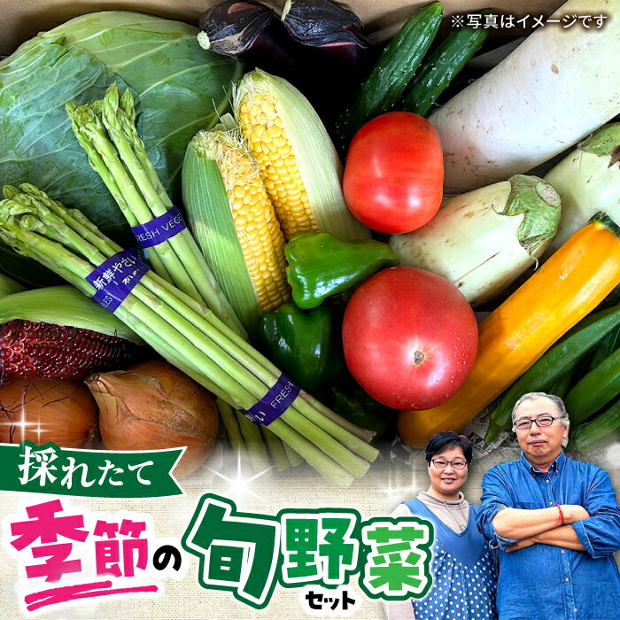 【ふるさと納税】農家自慢 季節の野菜セット / 詰め合わせ 野菜 やさい 野菜セット 野菜詰め合わせ 旬 春野菜 夏野菜 秋野菜 / 大村市 / 産直松吉[ACZC001]