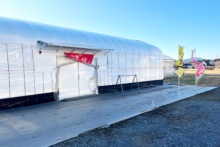 【先行予約・数量限定】よつぼし 『乳酸菌入りいちごパック』 400g以上入り いちご 乳酸菌 イチゴ 苺 フルーツ 果物 くだもの 健康 パック 贈答 ギフト 茨城 国産 19-AL 【4/10～5/