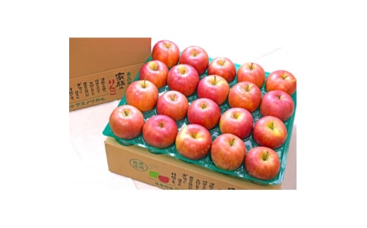＜25年11月より順次発送＞平均糖度13度以上! シナノスイート 約10kg おもてなし用【1609642】