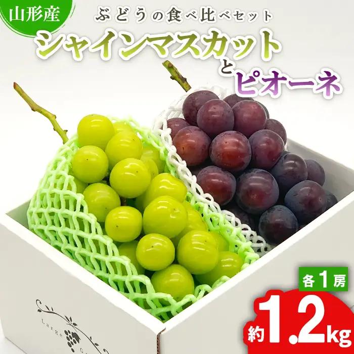 ★ぶどうの食べ比べセット★シャインマスカットとピオーネ 約1.2kg（各1房) 秀品 期間限定【令和8年産先行予約】FS24-526 くだもの 果物 フルーツ 山形 山形県 山形市 2026年産