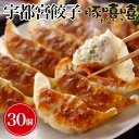 【ふるさと納税】宇都宮餃子とんきっき 箱入り 肉餃子 30個1箱