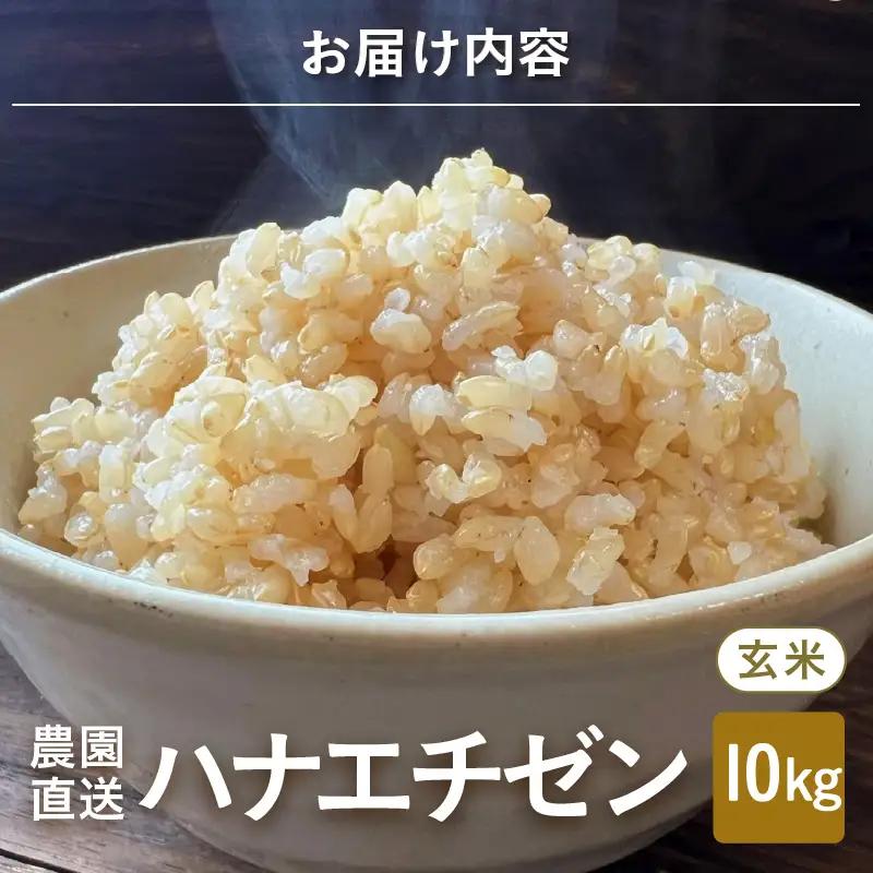 【令和8年産・新米】 ハナエチゼン10kg(5kg×2袋) ～本原農園からまごころコメて～（玄米）[A-89103_02]