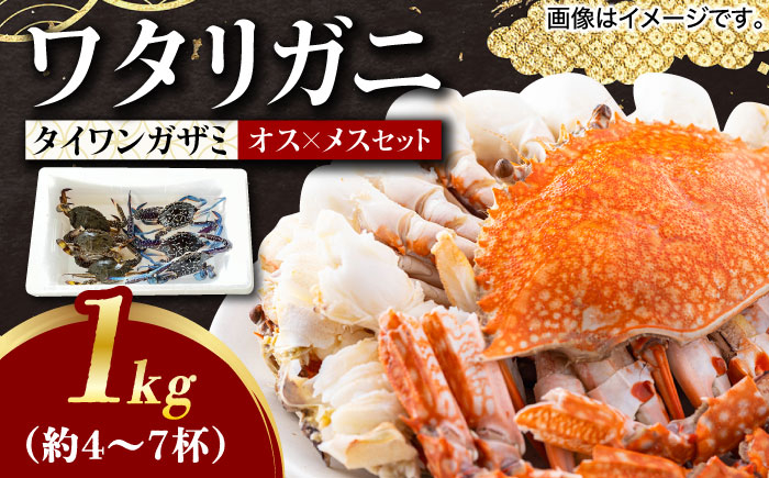 
                  【先行予約】豊前海産 タイワンガザミ 1kg (4～7杯前後) オス メス セット 【2026年8月以降順次発送】《築上町》【明青丸】 ワタリガニ 渡り蟹 蟹 カニ [ABCB002] 17000円
                