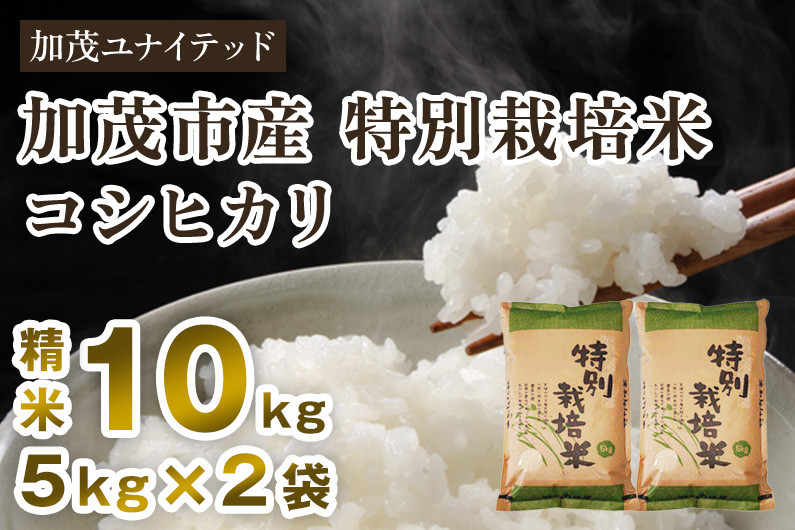 
            【令和6年産新米】加茂市産 特別栽培米 コシヒカリ 精米10kg 栽培期間中は化学肥料・農薬不使用 新潟米 お米 白米 こしひかり 加茂ユナイテッド
          