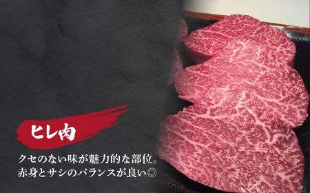 とちぎ和牛のヒレ肉 4~5枚 総量 約500g 【栃木県共通返礼品】| 和牛 ヒレ  栃木県 茂木町