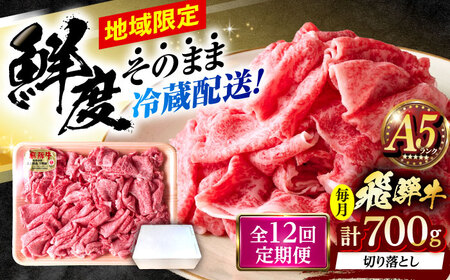 【12回定期便】 ※冷蔵配送/地域限定※ 飛騨牛 切落し (モモまたはカタ) 700g 瑞浪市 / きなぁた瑞浪 和牛 国産 岐阜県産[AZCI076]