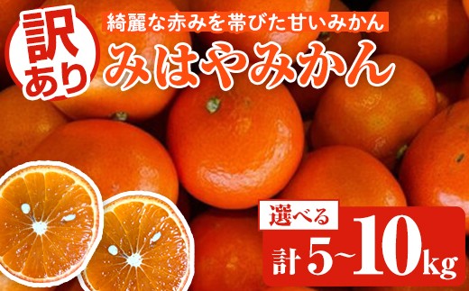 
            ＜先行予約受付中！2025年12月中旬以降順次発送予定＞＜内容量が選べる！＞訳ありみはやみかん(計5～10kg) 国産 フルーツ 果物 蜜柑 柑橘 みかん 訳あり【松永青果】
          