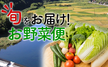 【少量多品種】 四万十育ちの地採れ 野菜セット （6～8種類）野菜便 やさい 国産野菜 詰め合わせ 季節 フレッシュ 旬 （しょうが にら ピーマン トマト きゅうり せり しいたけ ほうれん草 菜の花 えんどう豆 なす みょうが かぼちゃ 大根）などから7種類前後をチョイス 何が入っているかは季節毎のお楽しみ ／Qjs-A21