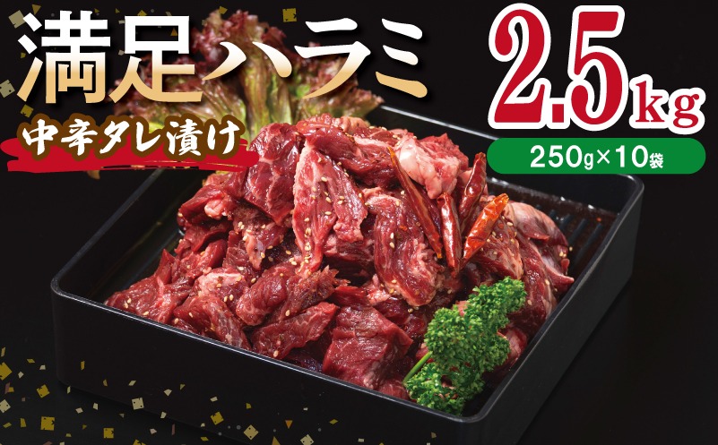 099H3709 【満足ハラミ】中辛タレ漬け 合計2.5kg 【味付け ハラミ 小分け 焼くだけ 簡単調理 BBQ 牛肉 250g×10P】