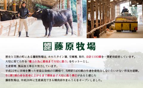 ＜宮崎ハーブ牛＞粗挽きミンチ 500g×2パック ※90日以内出荷