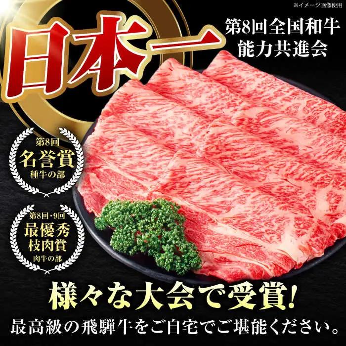 【12回定期】特選飛騨牛ステーキ&すきやき用1kgセット[AVAG013] 飛騨牛 ステーキ