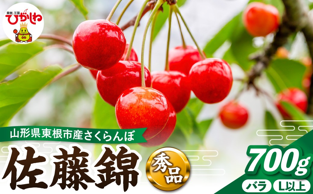 
                  【2027年産 先行予約】さくらんぼ「佐藤錦」700gバラ 秀品 L以上 山形県 東根市 千笑花夢提供 hi082-068-r9 さくらんぼ サクランボ チェリー フルーツ くだもの 果物 期間限定 先行受付 ご当地 特産 産地 直送 人気
                