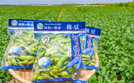 【先行予約 2024年6月より順次配送】はねっ娘枝豆 1.5kg（300g×5袋） えだまめ エダマメ お取り寄せグルメ 豆 おつまみ えだ豆 直送 朝採り こだわり 極上 濃厚 かながわブランド