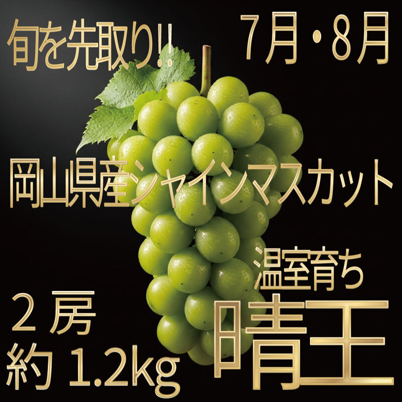 [HS]ぶどう先行予約7月・8月発送温室シャインマスカット晴王2房(合計約1.2kg) ブドウ 葡萄  岡山県産 国産 フルーツ 果物 ギフト デザート 食後 酸味が少ない 産地直送