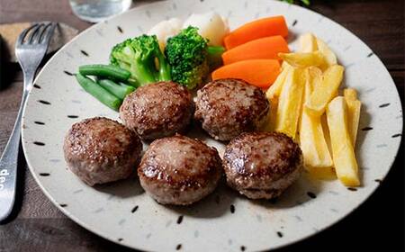 北海道産手作り ミニハンバーグ5個入り×4パック 無添加 ハンバーグ 肉 牛肉 豚肉 おかず 弁当 F4F-8540