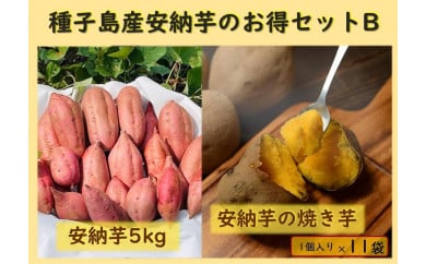 種子島産安納芋のお得セットB（安納芋5kg＋冷凍焼き芋1個入り×11袋）【焼き芋 焼芋 芋 いも やきいも  冷凍 スイーツ デザート 和菓子 おやつ さつまいも さつま芋 熟成 蜜 しっとり 甘い 安納いも 国産 鹿児島県産 種子島産 中種子町 送料無料 N154】