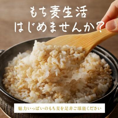 ふるさと納税 浜田市 もち麦セット 有機 500g×3袋セット(1.5kg)　有機JAS認証 国産 島根県産 |  | 03