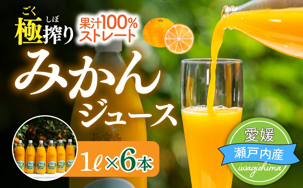 
                  ごくしぼり みかんジュース 1L 6本 国産 100% ストレート みかん ジュース 柑橘 蜜柑 ミカン じゅーす 飲料 ドリンク 温州みかん 添加物不使用 ブルーレモンファーム 愛媛 上島町
                