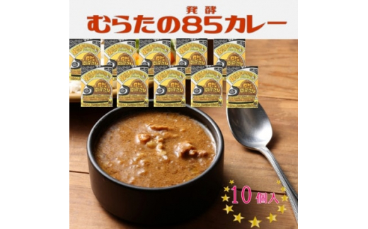 
むらた85(発酵)カレーセット(200g×10個)【1422795】
