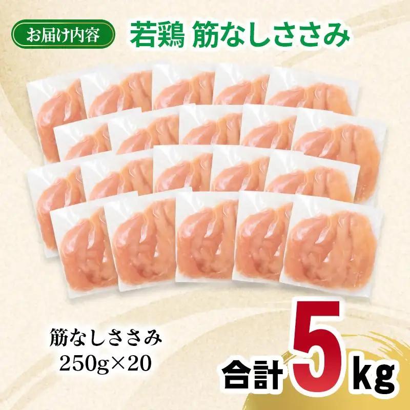 宮崎県産若鶏 筋なしささみ 5kg 小分け250ｇ×20パック＜70-16a＞