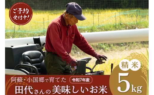 先行予約 令和7年産 11月出荷 新米 産直 ノンブレンド米 単一原料 お米 白米 精白米 銘柄おまかせ あきげしき ひのひかり こしひかり 阿蘇 小国町 産地直送 国産 日本産 地場産 贈答 田代さんのお米 5kg