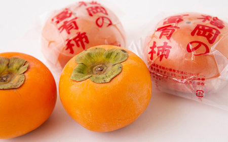 P296-05 日永園 冷蔵富有柿 12から13玉(2Lから3L) 2025年1月上旬から2月下旬 出荷予定