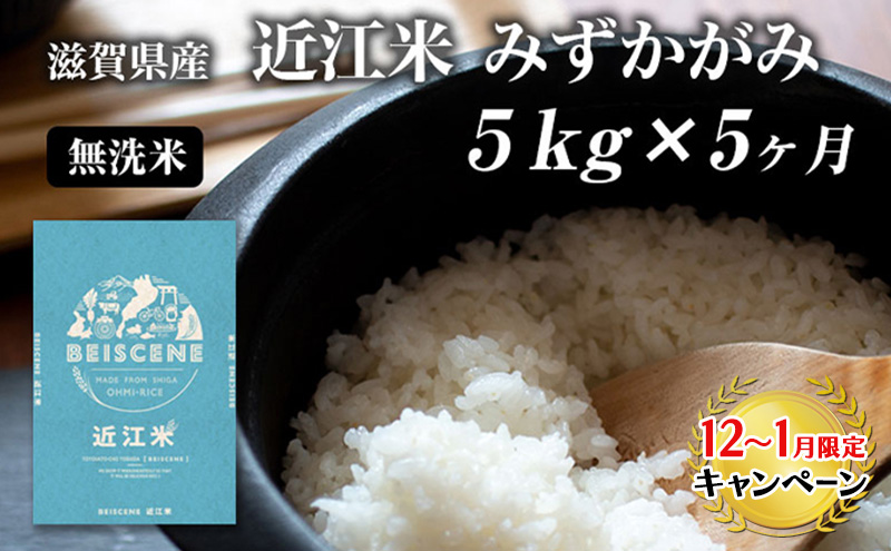 【12月～1月までの限定寄附額】 定期便 5kg×5ヶ月 みずかがみ 無洗米 令和7年産 近江米