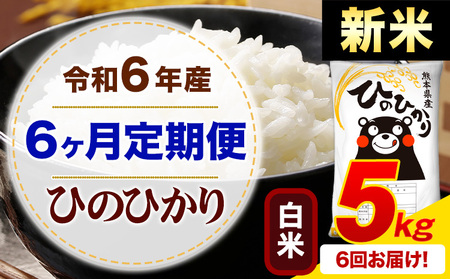 【6ヶ月定期便】令和6年産 新米 白米 ひのひかり 定期便 5kg《申込み翌月から発送》令和6年産 熊本県産 ふるさと納税 精米 ひの 米 こめ ふるさとのうぜい ヒノヒカリ コメ お米 hino