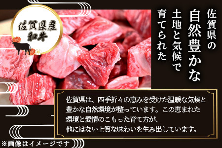 佐賀産 和牛 カレー・シチュー用 600g 佐賀産和牛 肉 佐賀 牛肉 佐賀県 鹿島市 冷凍 送料無料 人気 B-81