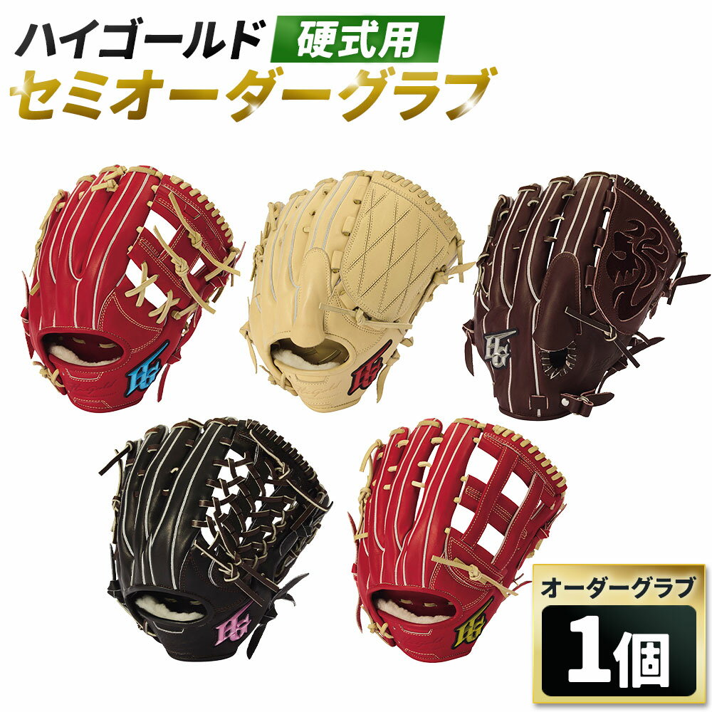 【ふるさと納税】ハイゴールド硬式用セミオーダーグラブ 己極-硬式SEMI-ORDER セミオーダーグラブ 1個 軟式用 軟式 グラブ グローブ ステアレザー 牛革 利き手 基本型 カラー 野球 野球用品 スポーツ用品 神奈川県 大和市 送料無料