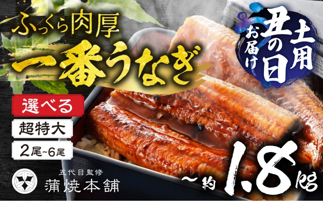 
            ≪土用の丑の日対応≫1尾で2.5人前！国産うなぎ蒲焼 超特大 2尾~6尾 タレ付《選べる》2尾 4尾 6尾
          