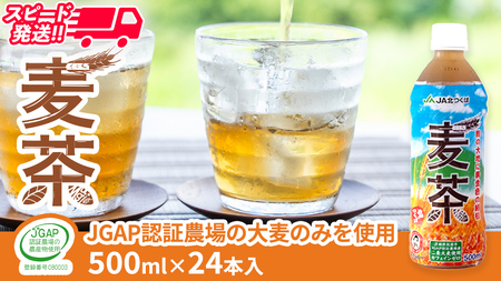スピード発送!!【 JA 北つくば 】 JGAP認証 麦茶 1箱 ( 500ml × 24本 ) [AE020ci]
