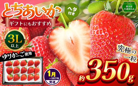 【栃木県共通返礼品】【1~3月発送分】【先行予約】とちあいか 3L以上ホール詰め 約350g | いちご とちあいか 香貴 朝採れ 大粒 新鮮 甘い  数量 限定 美味しい 果物 共通返礼品 フルーツ デザート 栃木県 那珂川町 送料無料