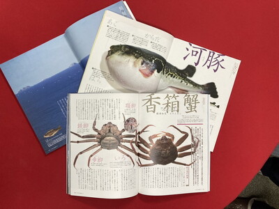 Fのさかなおもしろ図鑑vol.4（単品）