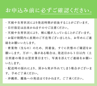 【2025年先行予約】八ケ岳南麓産「八ケ岳シャイン」シャインマスカット シャインマスカット 2025年 先行予約 2房 セット 約1kg 期間限定 数量限定 八ヶ岳シャイン 葡萄 ぶどう ブドウ シャ
