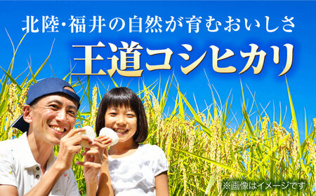 【 先行予約 /9月中旬以降発送】　【令和7年産】 福井県産 コシヒカリ 白米 10kg / 米 お米 精米 国産米 / 小浜市 / 北川博司[BFDG001]
