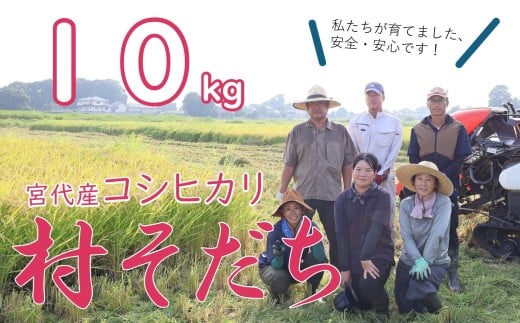 【宮代町】新しい村で育てた  コシヒカリ「村そだち」令和７年産新米   １０ｋｇ