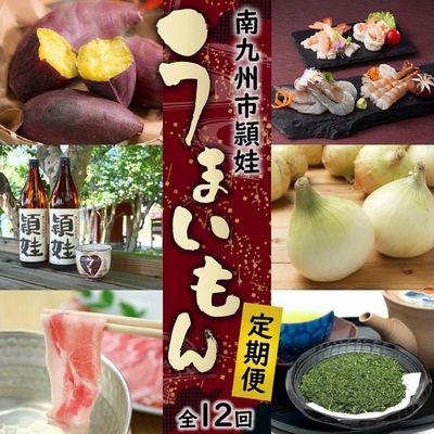 ふるさと納税 南九州市 【発送月固定定期便】南九州市頴娃うまいもん定期便全12回