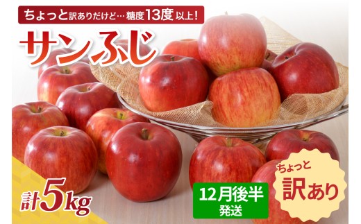 【先行受付】【2025年12月後半発送】 【訳あり】 りんご 約5kg サンふじ 青森産
