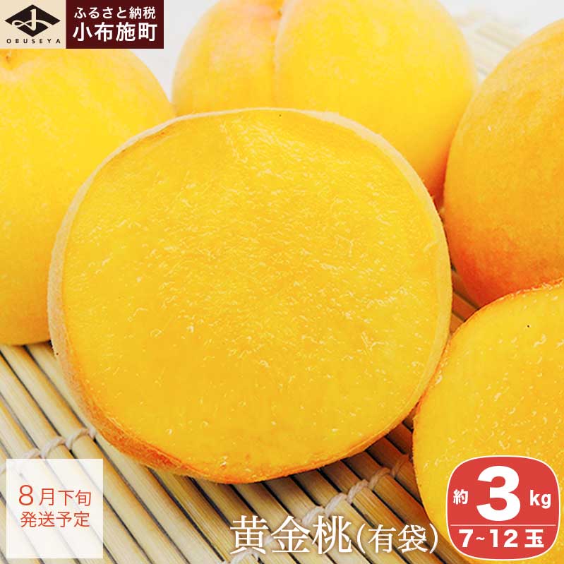 黄金桃（有袋） 約3kg 7～12玉 ［小布施屋］ 桃 もも モモ フルーツ 果物 3kg 長野県産 信州産 クール便 冷蔵便 令和7年産【2025年8月下旬発送】