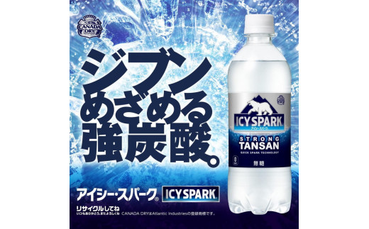 【5ヶ月定期便】【強炭酸】 カナダドライ(CANADA DRY) コカ・コーラ アイシー・スパーク 500ml×24本※離島への配送不可